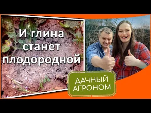 Нажми и смотри