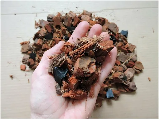 Кора и кокосовые стружки – секретный ингредиент идеального субстрата для монстеры