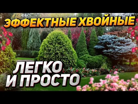 Нажми и смотри