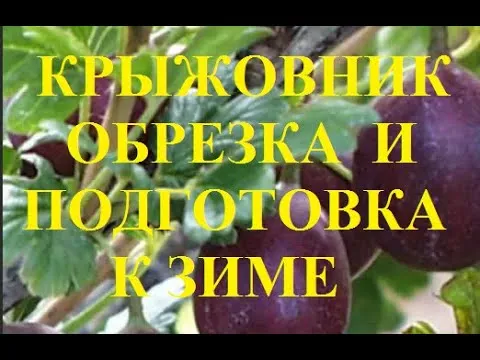 Нажми и смотри