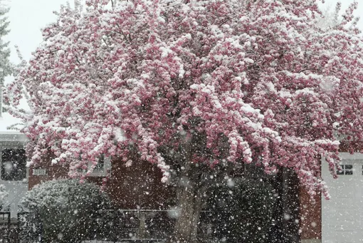 Снег в Москве возможен даже в июне Снег в Москве возможен даже в июне