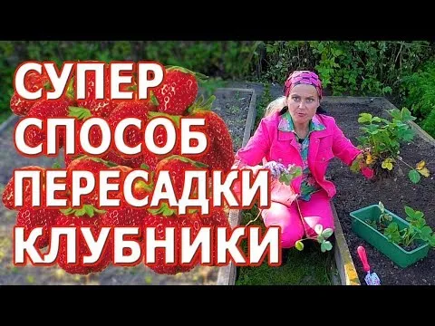Нажми и смотри