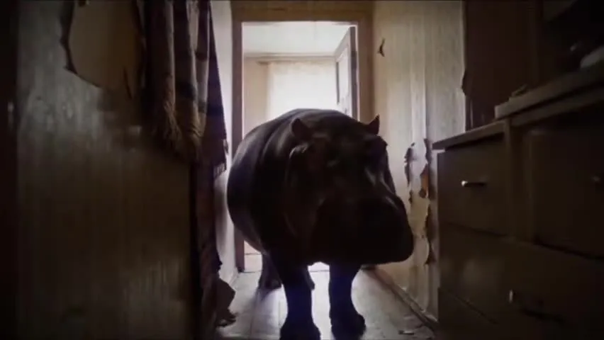 Нажми и смотри Нажми и смотри
