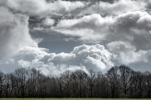 Синоптик рассказала, когда ждать солнечных дней в Москве Синоптик рассказала, когда ждать солнечных дней в Москве