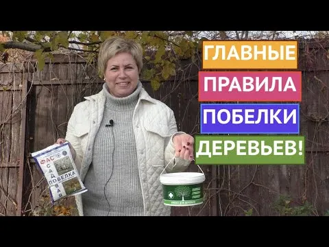 Нажми и смотри