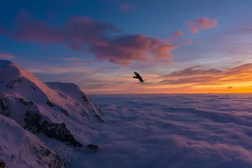 5 историй о женщинах-альпинистках, погибших в горах 5 историй о женщинах-альпинистках, погибших в горах