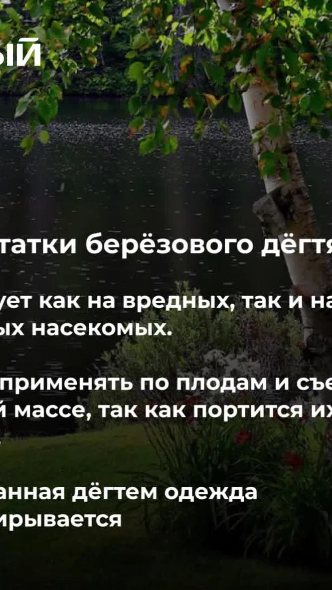 Нажми и смотри