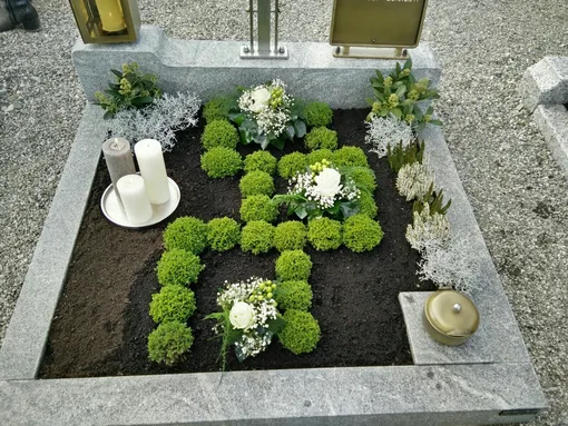 Самшит Самшит