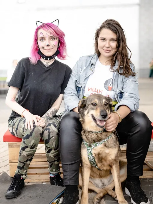 собаки и люди собаки и люди